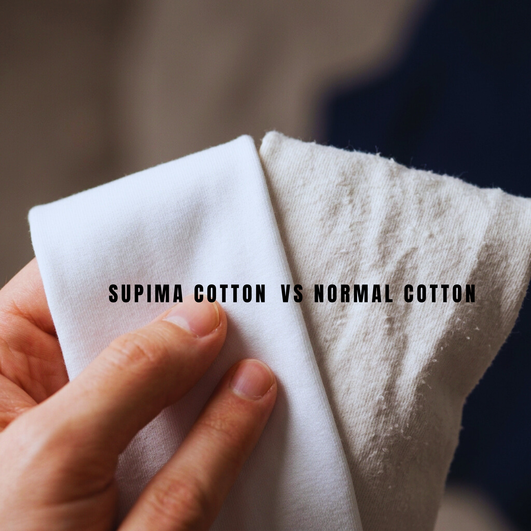 Supima vs Cotton: Why Your T-Shirts Don’t Last?