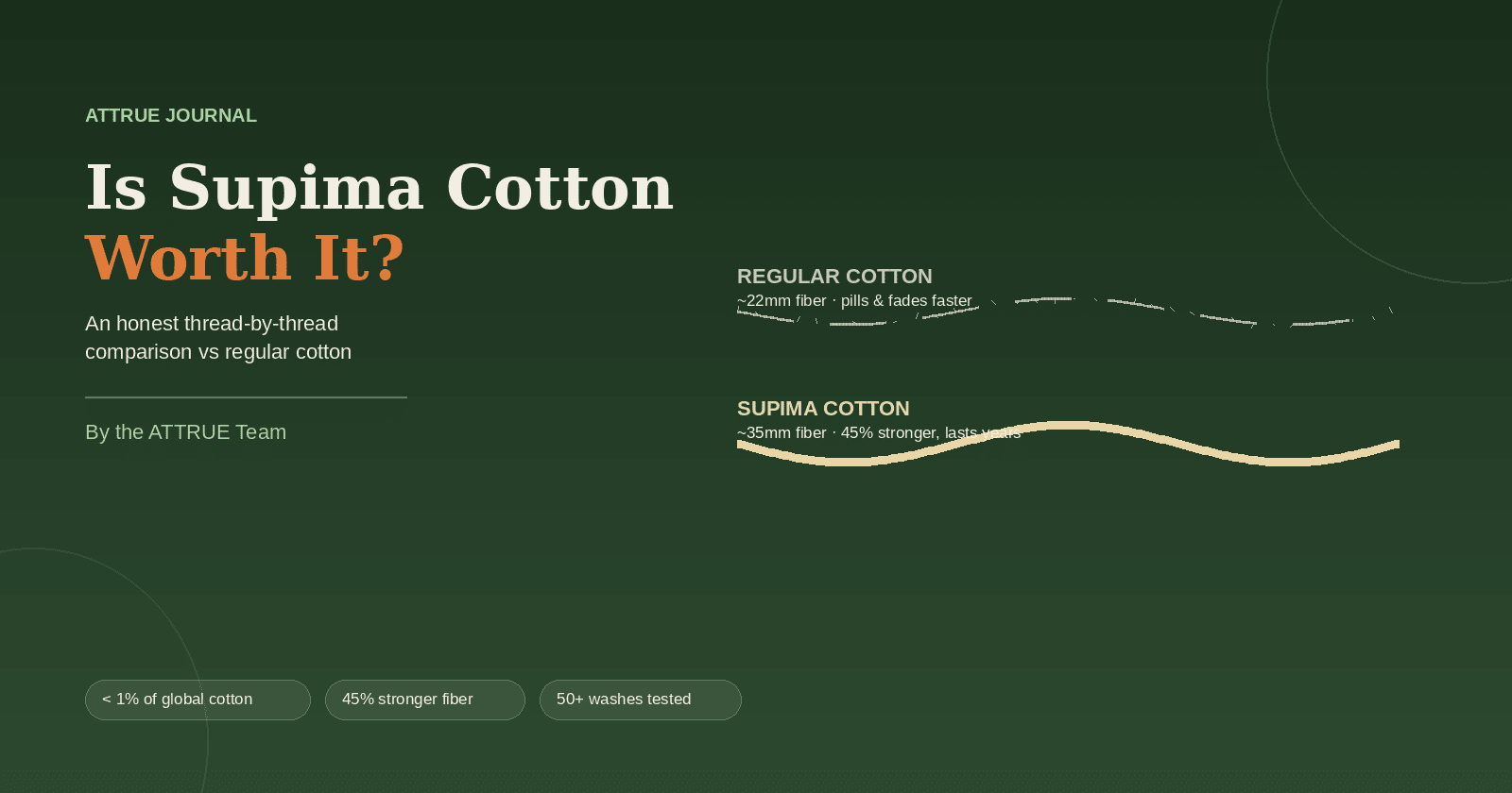Is It “Worth It” to Buy Supima Cotton T-Shirts Over Regular Cotton T-Shirts? An Honest Investigation - ATTRUE